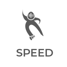Brand A